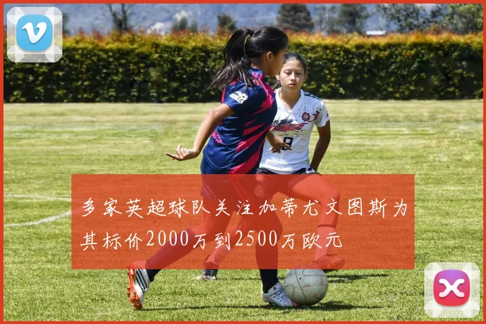 多家英超球队关注加蒂尤文图斯为其标价2000万到2500万欧元
