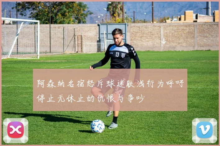 阿森纳名宿怒斥球迷肤浅行为呼吁停止无休止的仇恨与争吵