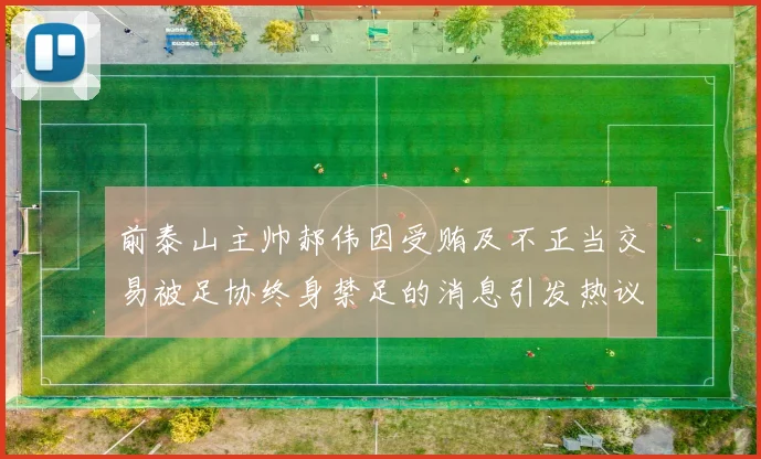 前泰山主帅郝伟因受贿及不正当交易被足协终身禁足的消息引发热议