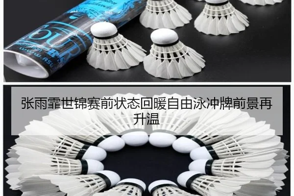 张雨霏世锦赛前状态回暖自由泳冲牌前景再升温
